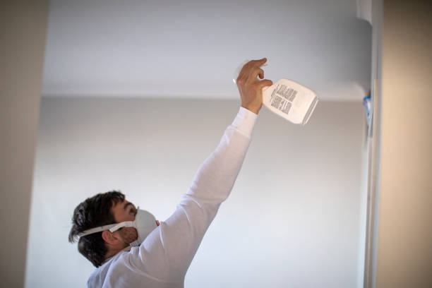 Best Office Mold Removal Services  in Briarcliff, TX