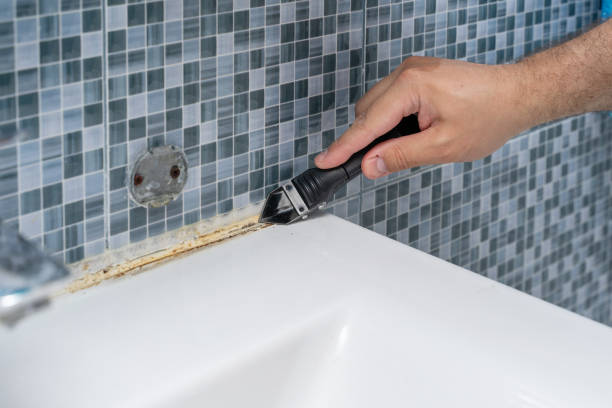 Best Fast Mold Removal  in Briarcliff, TX
