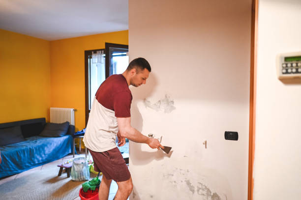 Certified Mold Removal in Briarcliff, TX