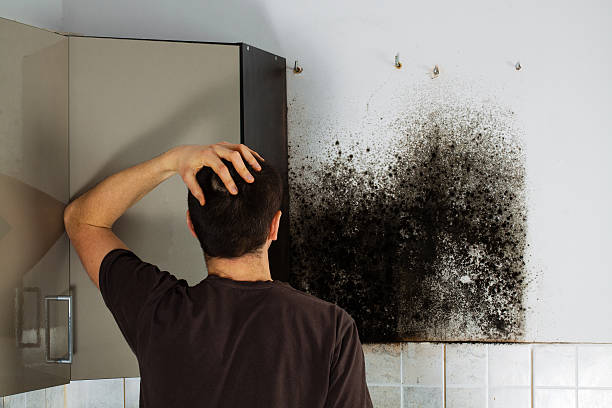 Home Mold Removal in Briarcliff, TX
